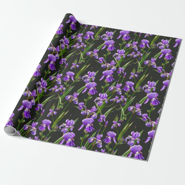 Papel De Presente Campo de irlandeses (Desenrolado)