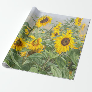 Papel De Presente Campo Girassol Verde Amarelo Bonito Decoupágina