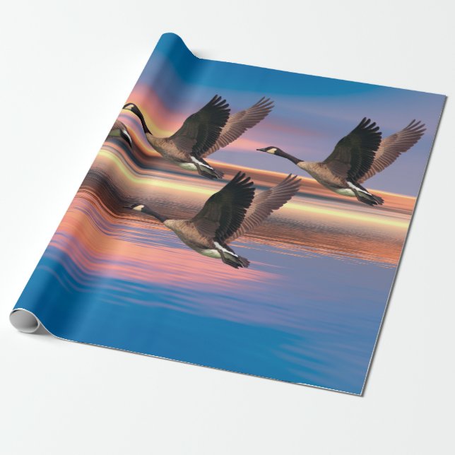 Papel De Presente Canada Geese image for Wrapper Paper (Imagem em ga (Desenrolado)