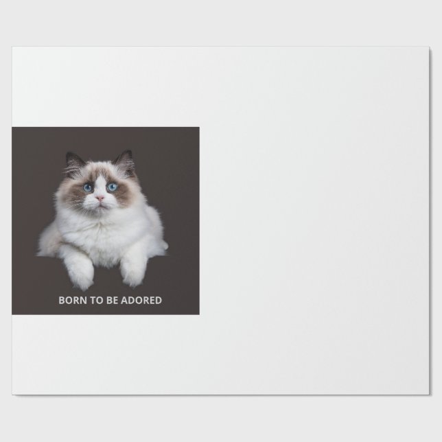 Papel De Presente Caneca de Gato - Nascido Para Ser Adorado (Aberto)