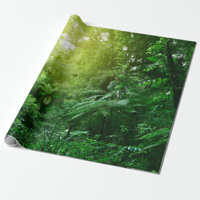 Papel De Presente Canopia da árvore solar na selva tropical  (Desenrolado)