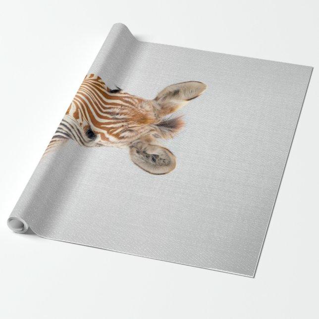 Papel De Presente Canvas Colorida Bebê Zebra (Desenrolado)
