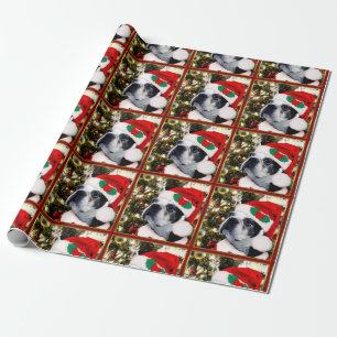 Papel De Presente Cão de Boston Terrier do Natal