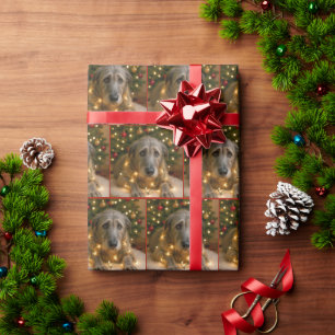 Papel De Presente Cão Lobo Irlandês de Natal Enroscado em Luzes