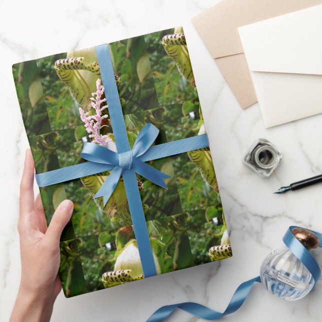 Papel De Presente Capanea Grandiflora (Presentear)