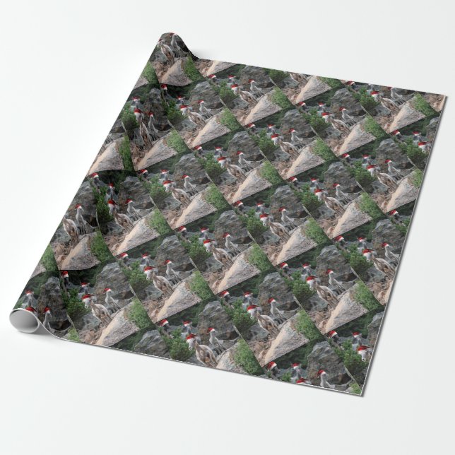 Papel De Presente Caprinos da montanha natalina (Desenrolado)