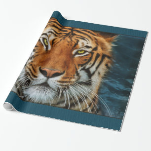 Papel De Presente Cara do tigre
