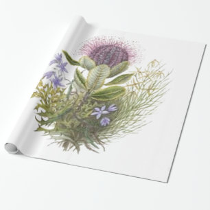Papel De Presente Cardo dos Wildflowers do vintage