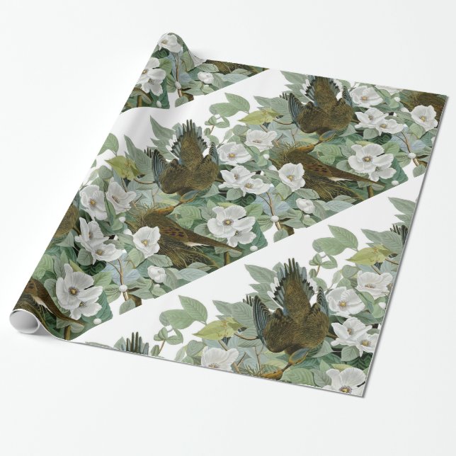 Papel De Presente Carolina Pigeon Audubon Morning Dove (Desenrolado)
