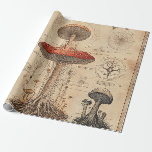 Papel De Presente Carta Botânica de Cogumelo Vintage (8)