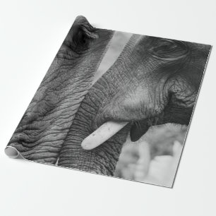 PAPEL DE PRESENTE CASAL ELEPHANT