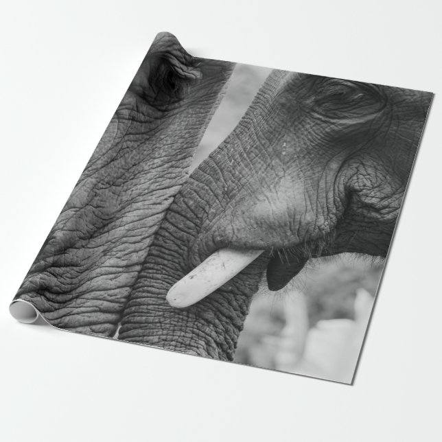 PAPEL DE PRESENTE CASAL ELEPHANT (Desenrolado)