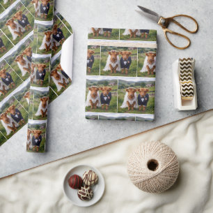 Papel De Presente Casamento Escocês Vacas das Terras Altas