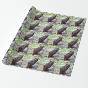 Papel De Presente castor