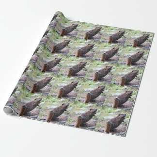 Papel De Presente castor