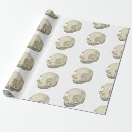 Papel De Presente Cat Skull