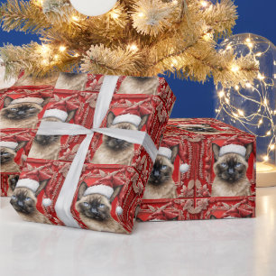 Papel De Presente Cat veste Santa Hat para o festival temático de Na