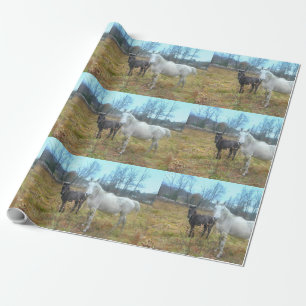 Papel De Presente Cavalo Branco Colt Preto