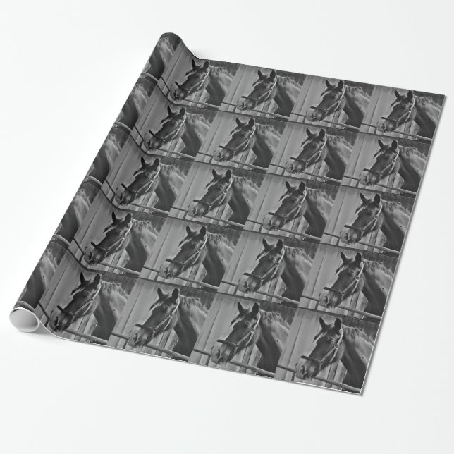 Papel De Presente Cavalo Branco Negro - Fotografia Animal (Desenrolado)