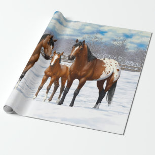 Papel De Presente Cavalos Appaloosa Da Baía De Brown Em Neve