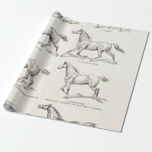 Papel De Presente Cavalos da ilustração dos portes do cavalo dos