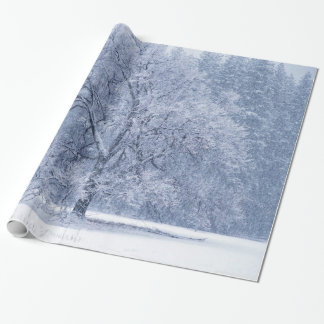 Papel De Presente Cena congelada da árvore inverno nevado