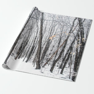 Papel De Presente Cena de neve em Woodland Michigan