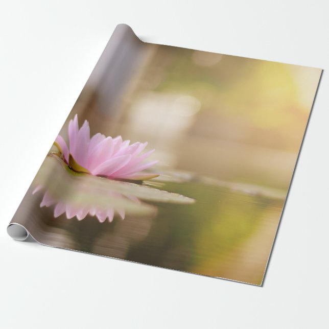 Papel De Presente Cenário de Flor de Lótus Elegante, Zen (Desenrolado)