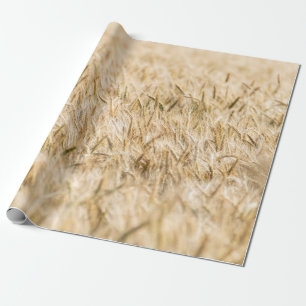 Papel De Presente Cereais - agricultura madura no campo