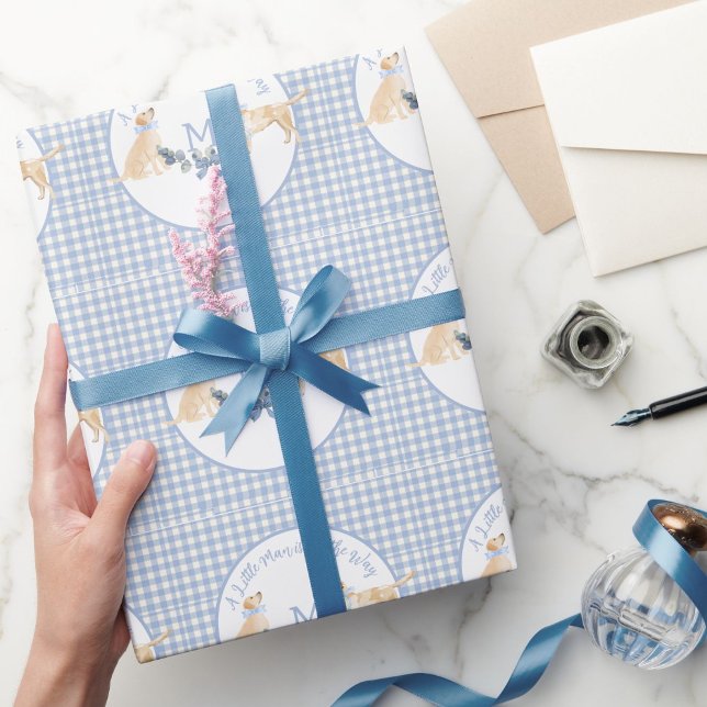 Papel De Presente Chá de fraldas de Gingham Azul e Branco (Criador carregado)