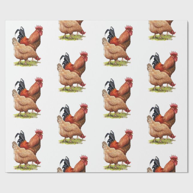 Papel De Presente Chicken And Rooster Art, Poultry, Farm Animals (Aberto)