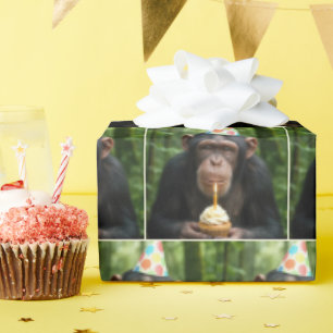 Papel De Presente Chimpanzé segurando um Cupcake de aniversário