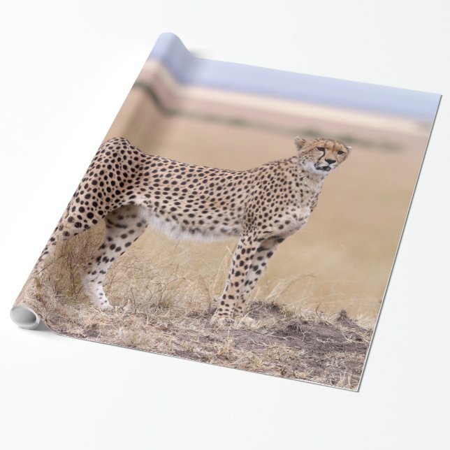 Papel De Presente Chita (Desenrolado)