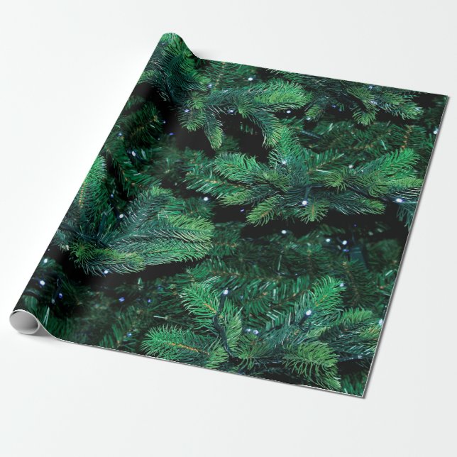 Papel De Presente Christmas tree twigs sapling pine (Desenrolado)