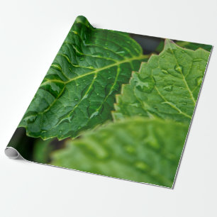 Papel De Presente Chuva chuva gota d'água folhas molhadas