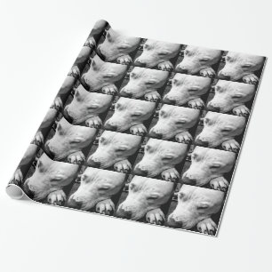 Papel De Presente cicatriz do harry potter cachorro pit bull branco