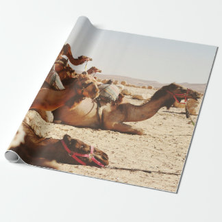 PAPEL DE PRESENTE CINCO CAMELOS NO CAMPO