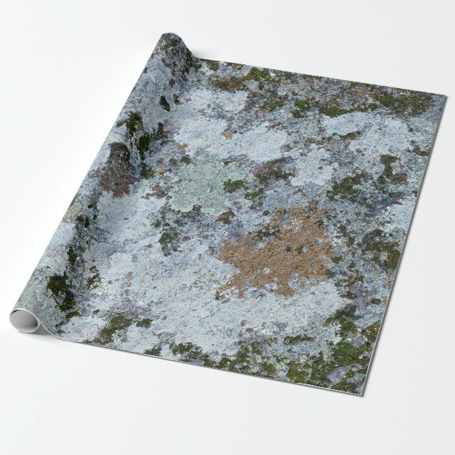 Papel De Presente Cinza e ilustração verde (Desenrolado)