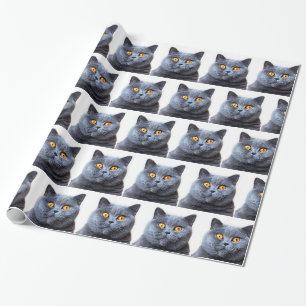 Papel De Presente Cinza olhos amarelos de gato