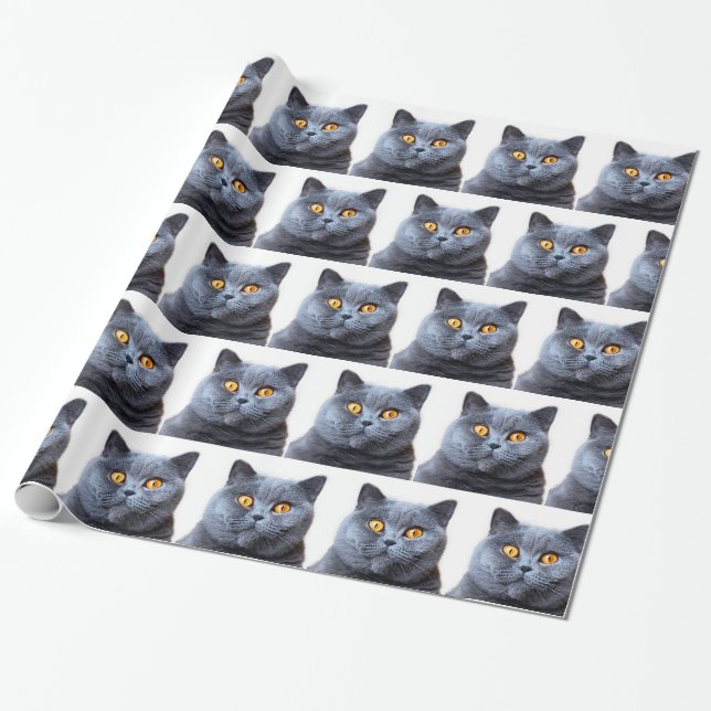 Papel De Presente Cinza olhos amarelos de gato (Desenrolado)