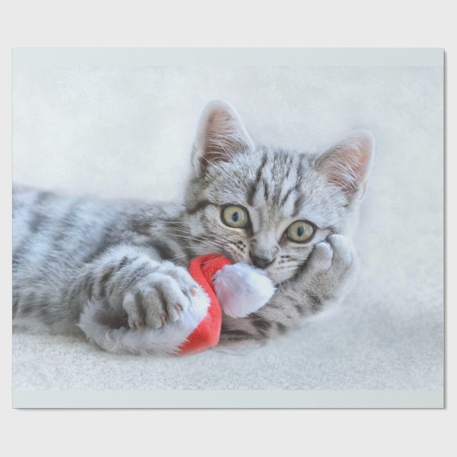 Papel De Presente Cinzas bonitas por gato com Natal (Aberto)
