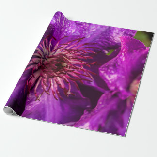 Papel De Presente Clematis O Presidente