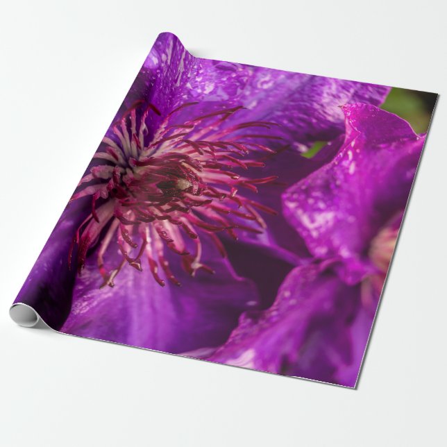 Papel De Presente Clematis O Presidente (Desenrolado)