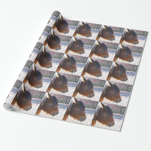 Papel De Presente Close de cavalo marrom, pequeno pônei marrom