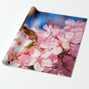 Papel De Presente Cluster De Blossomas De Cereja Rosa, Céu Azul