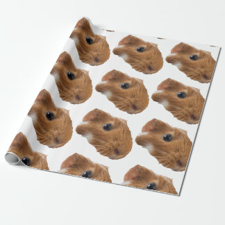 Papel De Presente cobaia