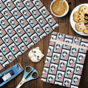 Papel De Presente Cobertores de Gato Tuxedo Caprichoso Rosa Azul Aco