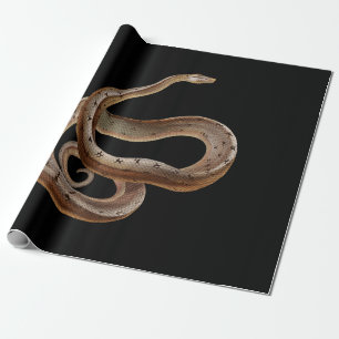 Papel De Presente Cobra - Preto - Animal -
