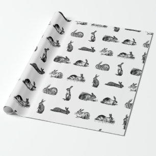 Papel De Presente Coelhos Vintage Coelhos Clássicos COR BG PERSONALI