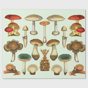 Papel De Presente  Cogumelos Fungi Plantas Jardim Botânico Colagem 
